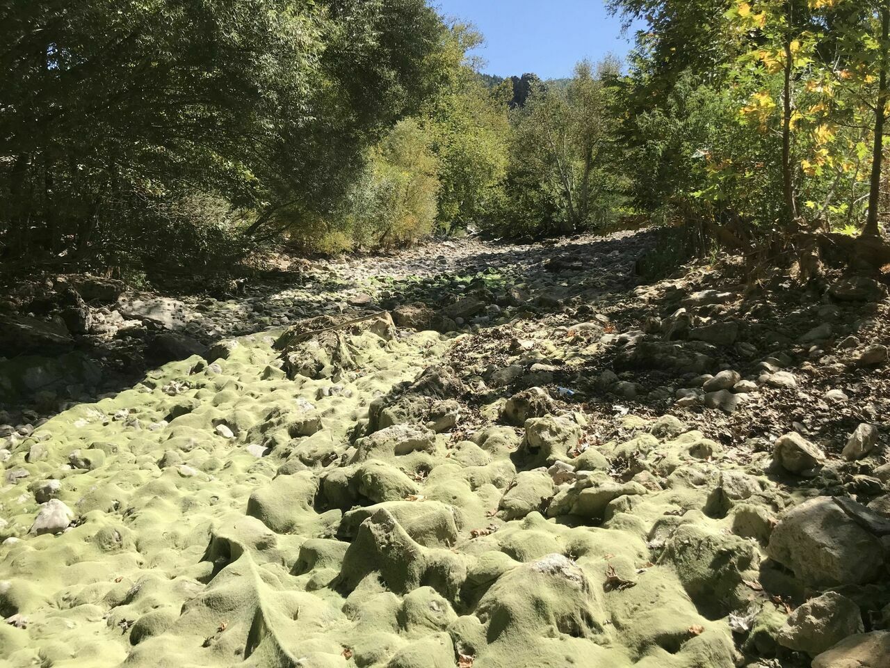 kuru ırmak