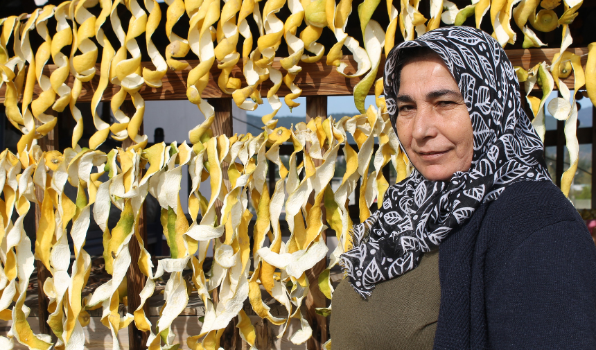 Kozan'da limon fiyatları düşerken çiftçiler çözüm arıyor