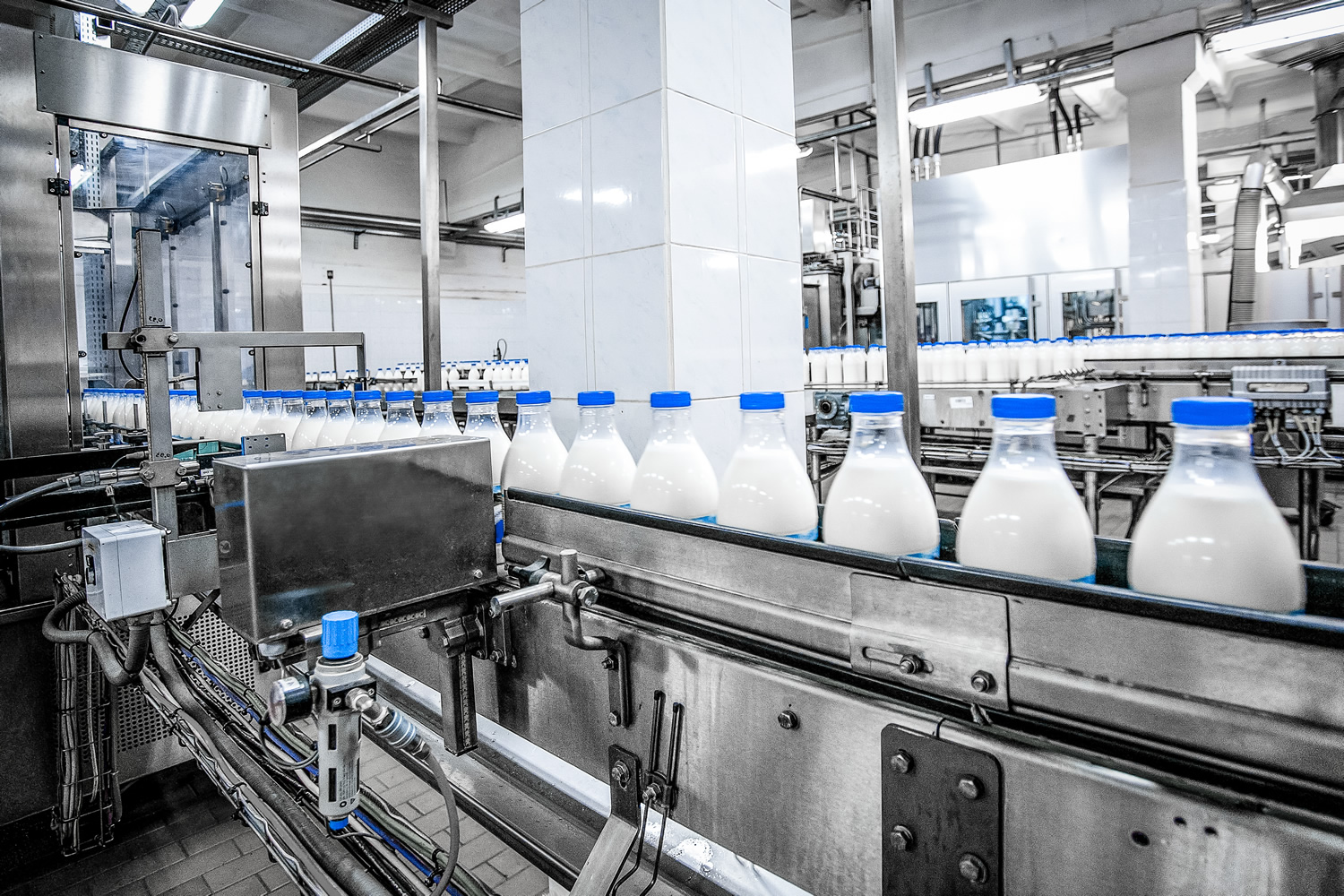 süt üretim tesisi