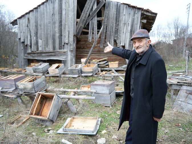 Kış uykusuna yatmayan ayılar 50 arı kovanını telef ettiler