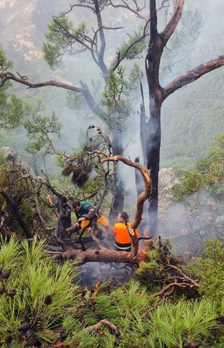 Muğla'nın Datça Ilçesinde Orman Yangını