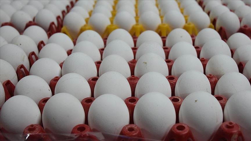 Temel gıda fiyatları rekor seviyede arttı! Yumurtanın kolisi yüzde 1000'e yakın zamlandı