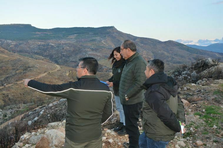 Mersin'de Geçen Yıl Yanan Orman Sahası Ağaçlandırıldı 