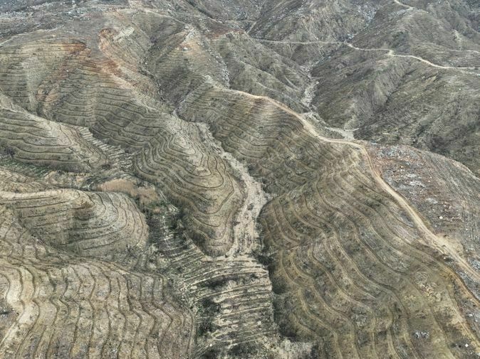 Mersin'de Geçen Yıl Yanan Orman Sahası Ağaçlandırıldı