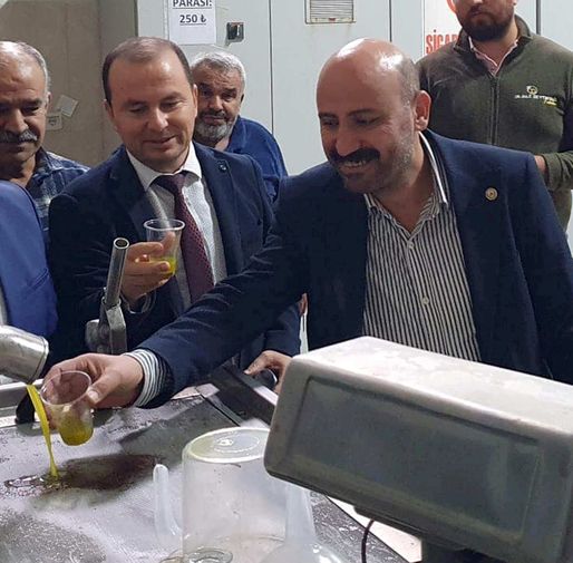 Zeytin Hasadı Bitti! Mersin'de Zeytin Fiyatları Üreticiyi Sevindirdi