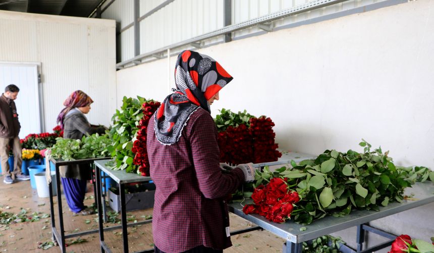Adana'da Dalında 25 Lira Olan Gül Çiçekçide Uçuyor 