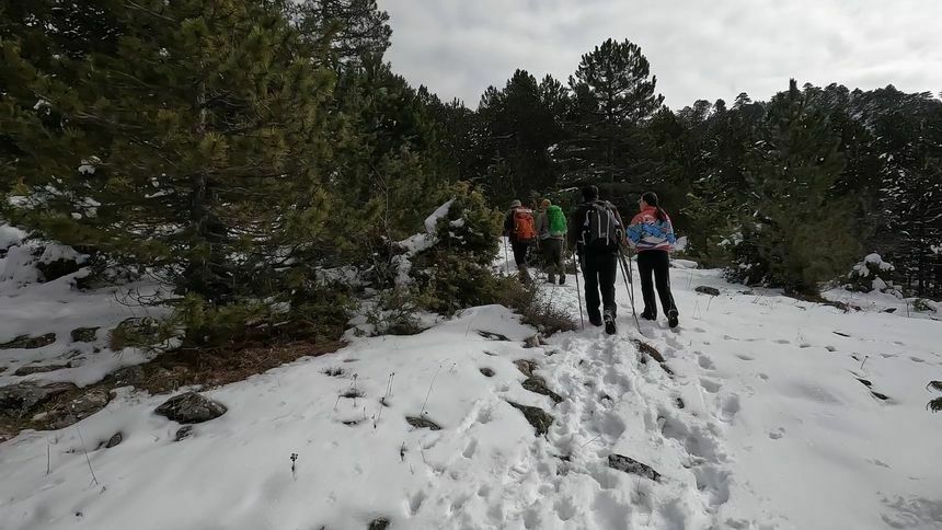 Doğanın Gizli Hazinesi Dümen Dağı 