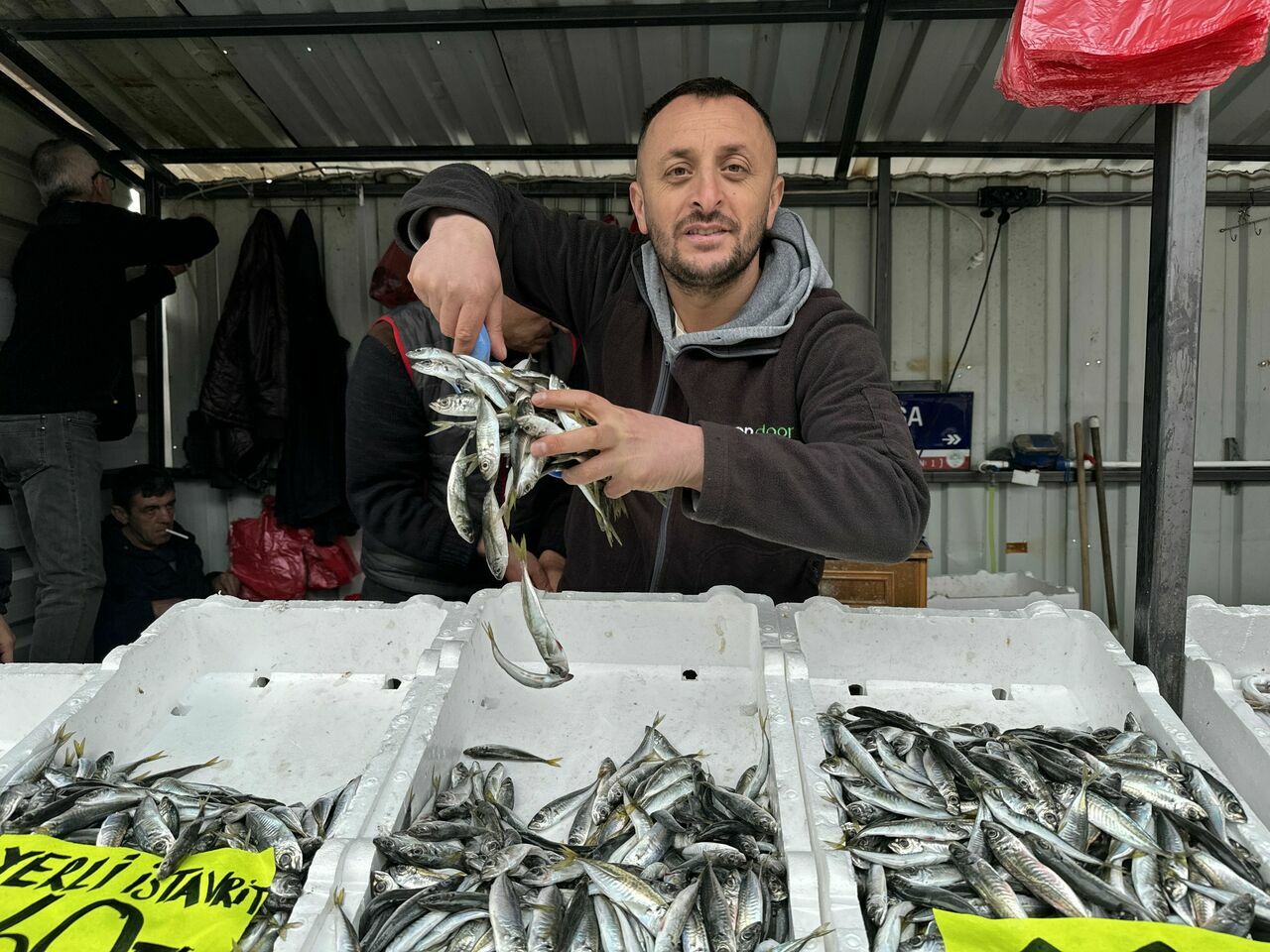 Zonguldak’ta İstavrit Bolluğu Rüzgarı!