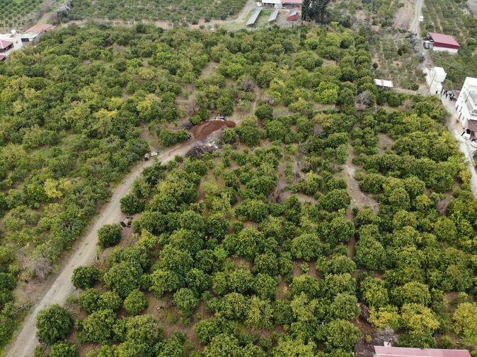 Hatay'da Limon Üreticisine Destek 