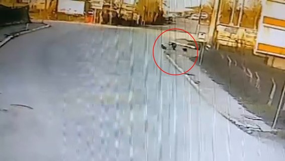 Kandıra'da Okula Giden Çocuğa 2 Köpek Saldırdı3