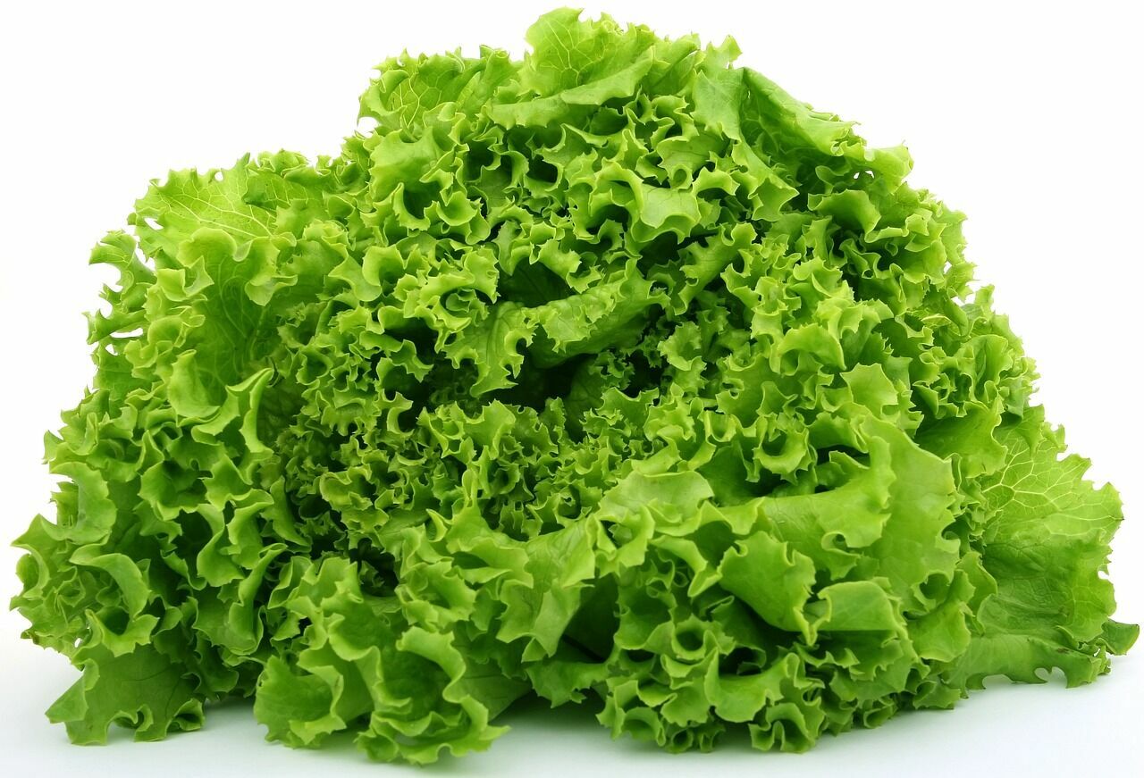 Lettuce 1239155 1280