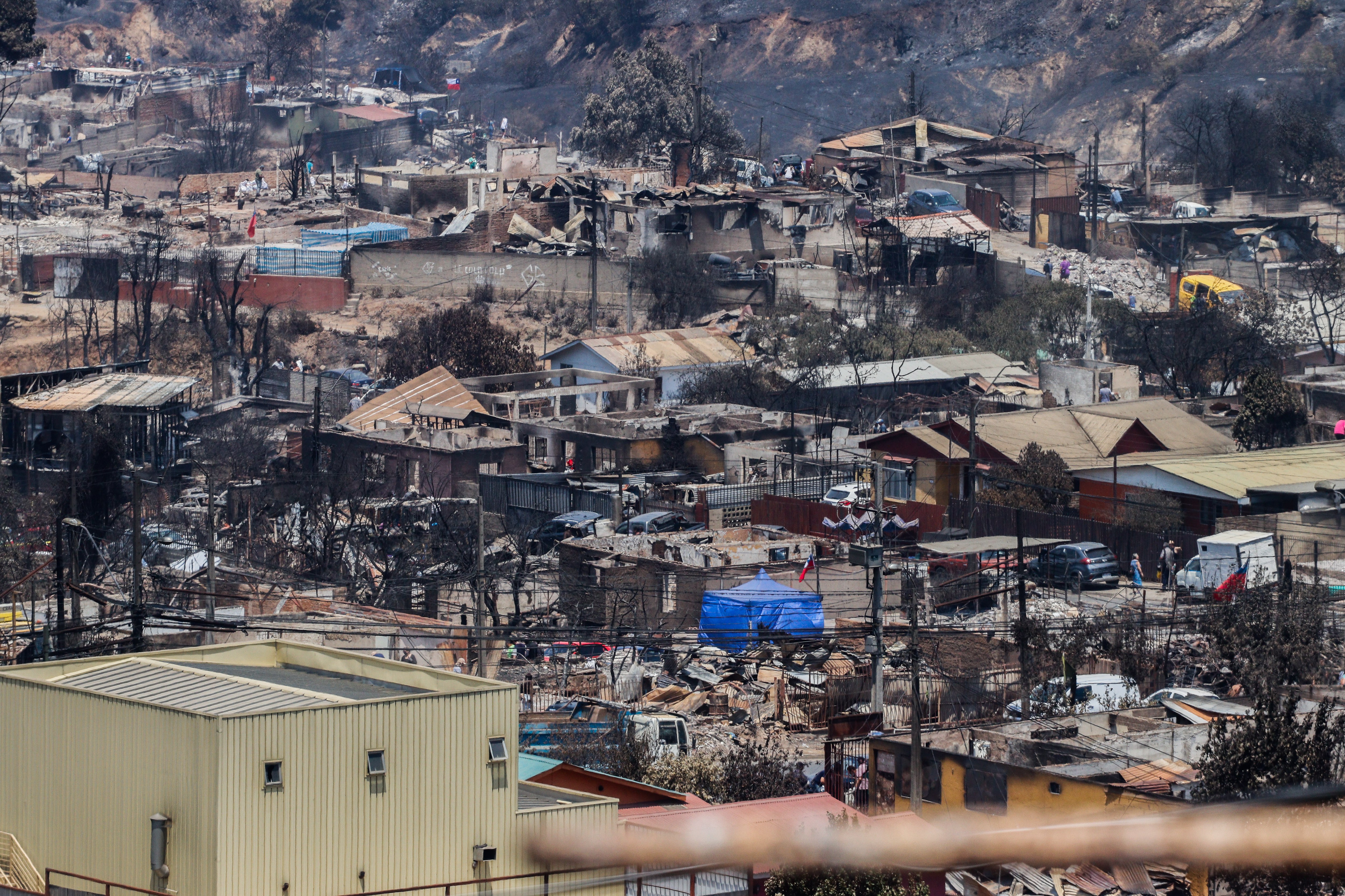 Şili’deki Orman Yangınlarında Can Kaybı 131’E Yükseldi6