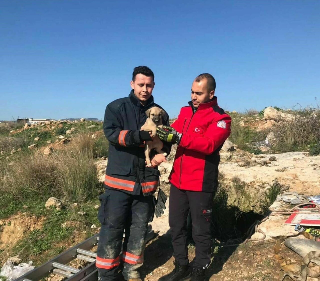 Yavru Köpek Definecilerin Kazdığı Kuyuya Düştü