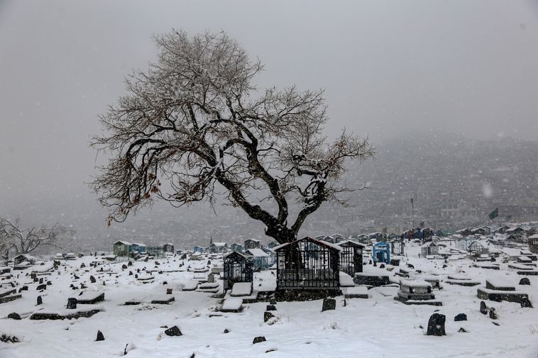 Soğuk Hava Nedeniyle 60 Kişi Hayatını Kaybetti6 Result