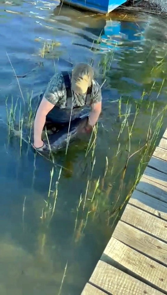 Sapanca Gölü'nde dev yayın balığı yakalandı