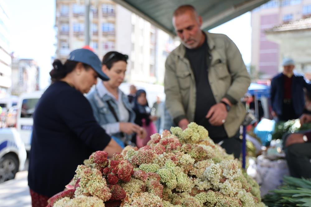Elazığ'da doğal şifa deposu olarak ilinen 'Işkın' yoğun ilgi görüyor