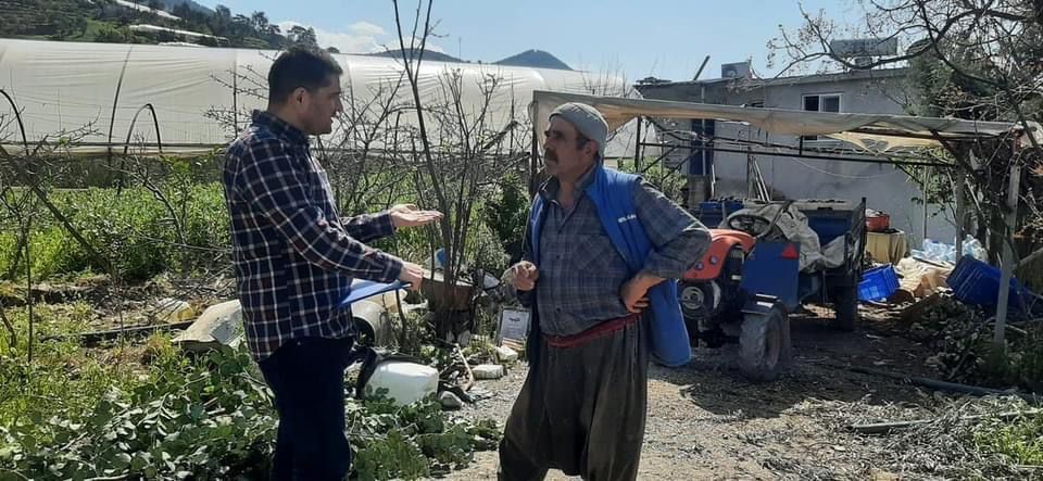 Gazipaşa'da hasat öncesi pestisit denetimleri devam ediyor