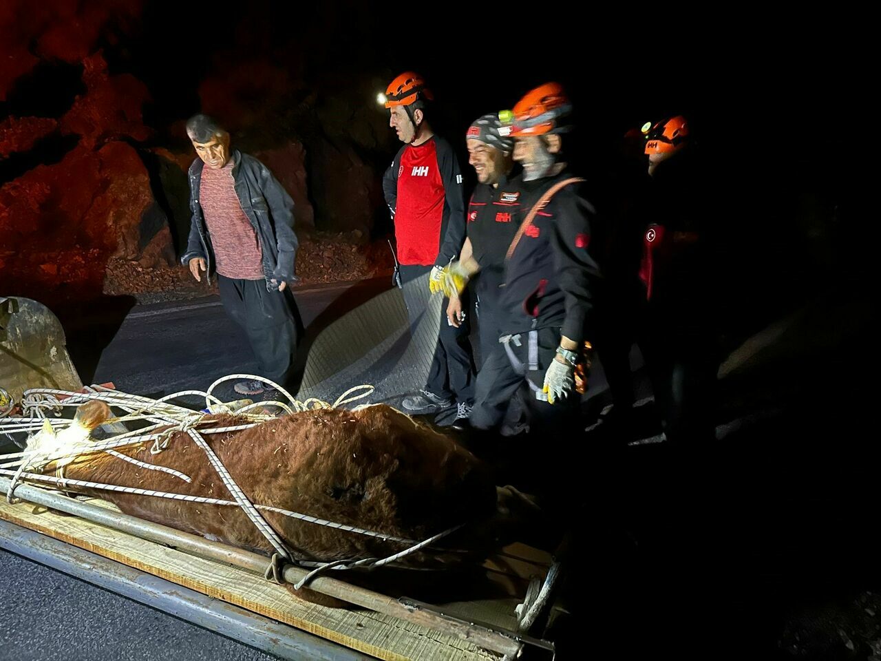 Alanya'da dana kamyon kazası sonrası kurtarıldı