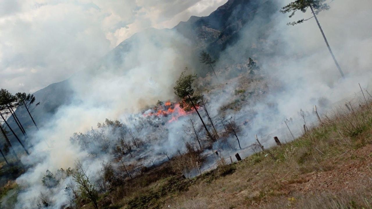 Adana Pozantı'da Orman Yangını! 12 Dönüm Zarar Gördü (3) Result