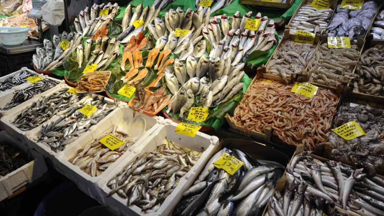 Sinoplu balıkçılar artan akaryakıt fiyatları ve alım gücü düşüşünden yakındı