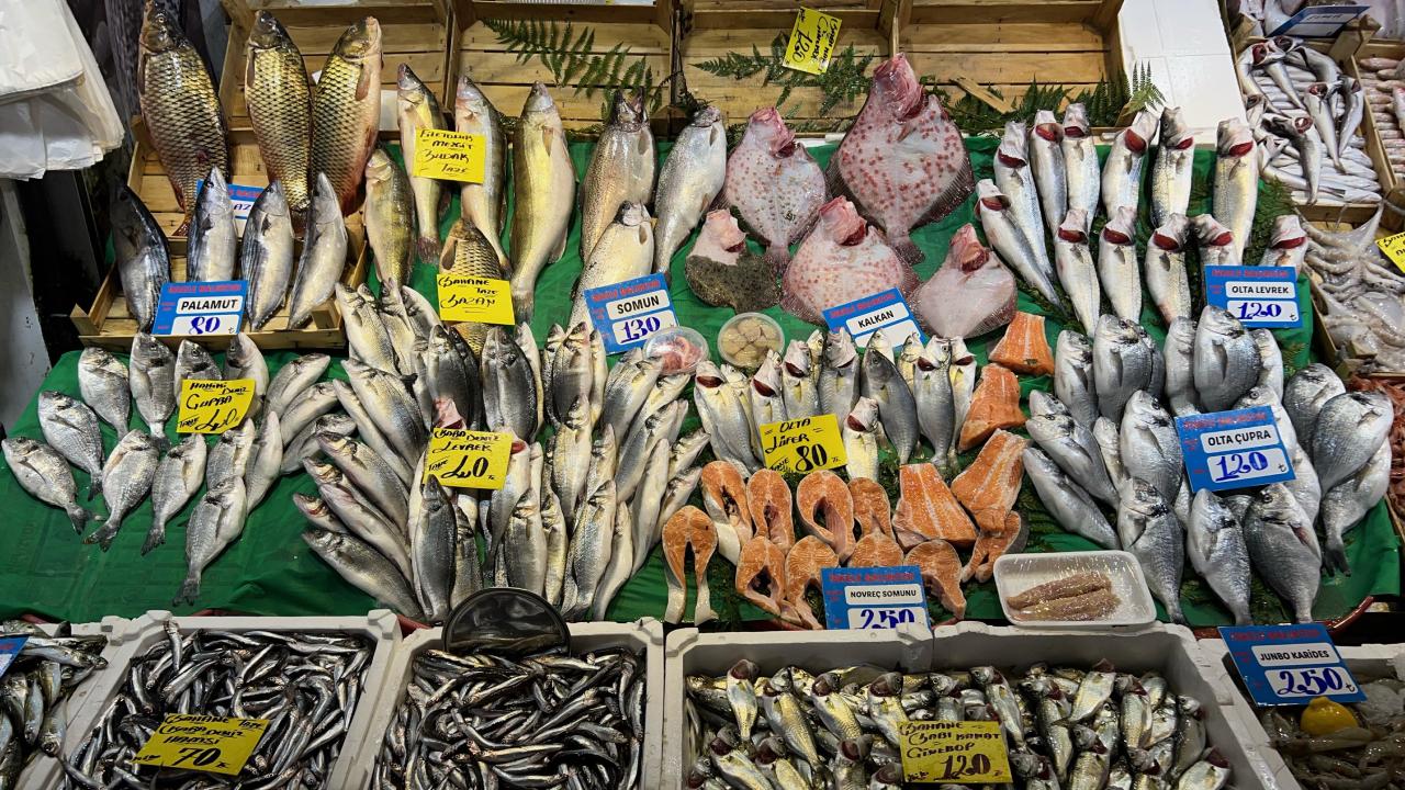 Sinoplu balıkçılar artan akaryakıt fiyatları ve alım gücü düşüşünden yakındı