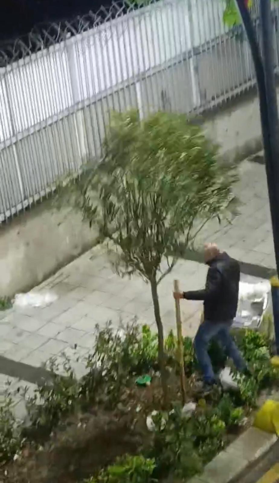 İstanbul'da Bir Şahıs Tahtaları Söküp Ağaçla Kavga Etti2