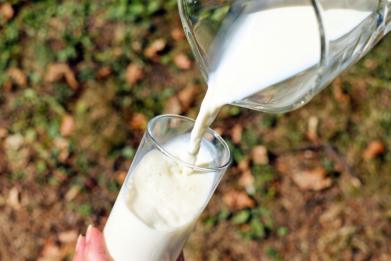 Jersey Sütü Nedir Jersey Sütünden Kaymak Nasıl Yapılır (4)