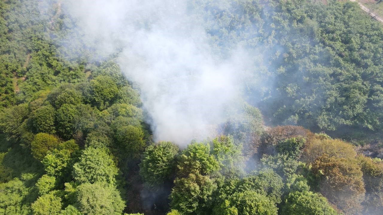Sakarya'da Bahçesi Temizliği İçin Yakılan Ateş Orman Yangınına Dönüştü2