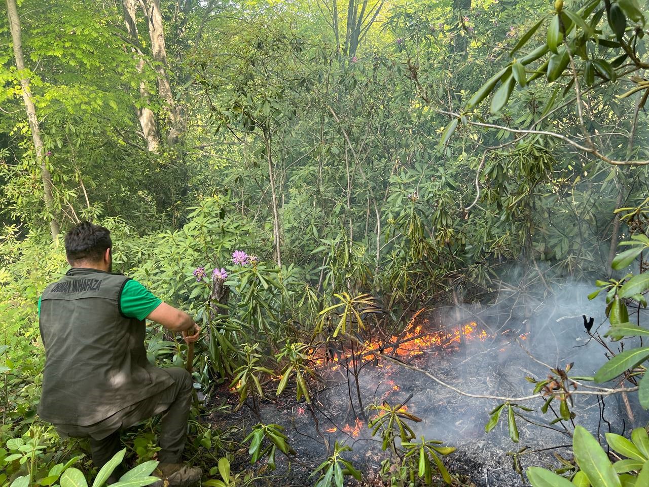 Sakarya'da Bahçesi Temizliği İçin Yakılan Ateş Orman Yangınına Dönüştü3