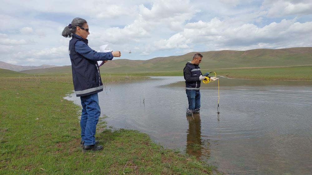 Van'da göletlerde balık ölümleri araştırılıyor