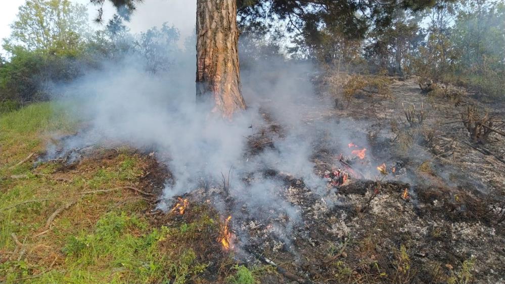 Alaşehir'de çıkan orman yangınına hızlıca müdahale edildi