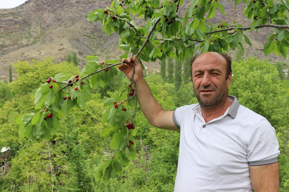 Erzurum’un meyve bahçesi: Ayvalı Mahallesi’nde üç mevsim bir arada yaşanıyor