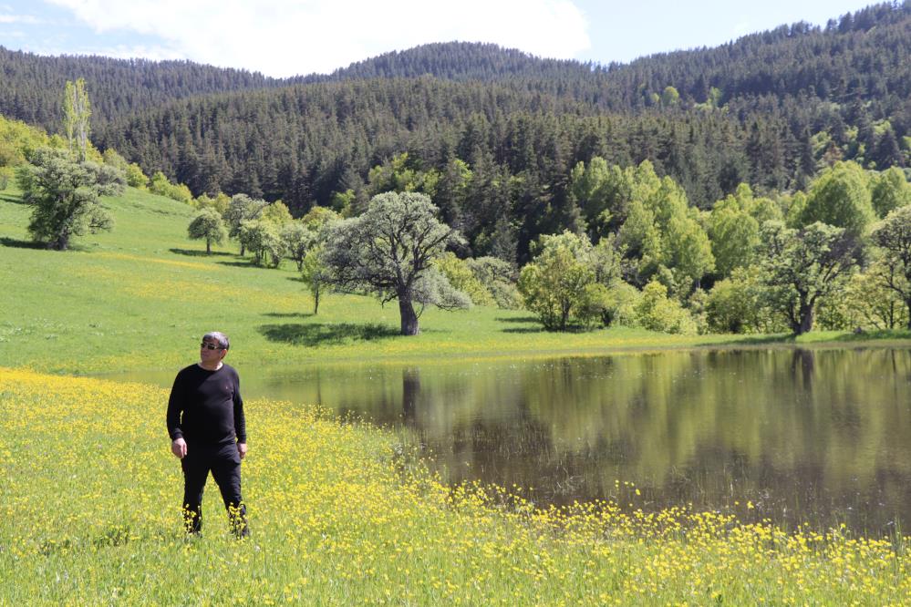 Erzurum'da cennet köşesi Ormanağzı yaylaları çiçek açtı