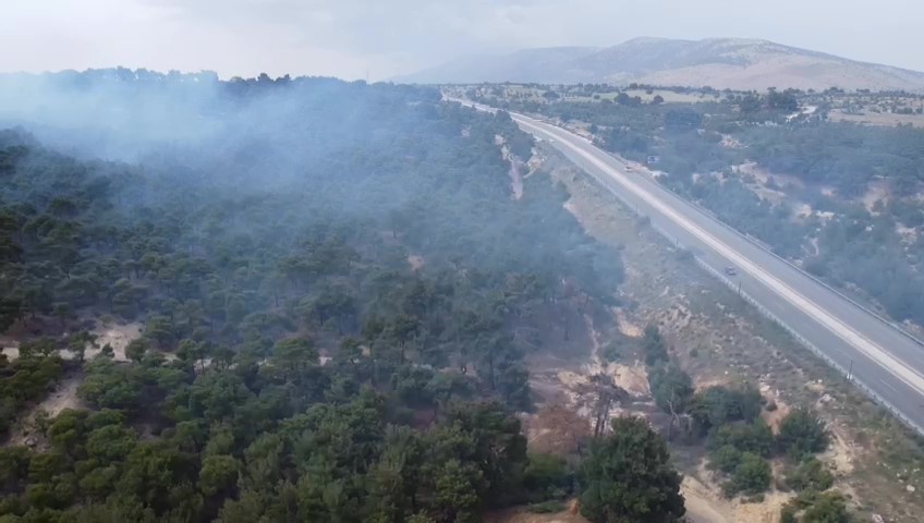 Denizli'de orman yangını