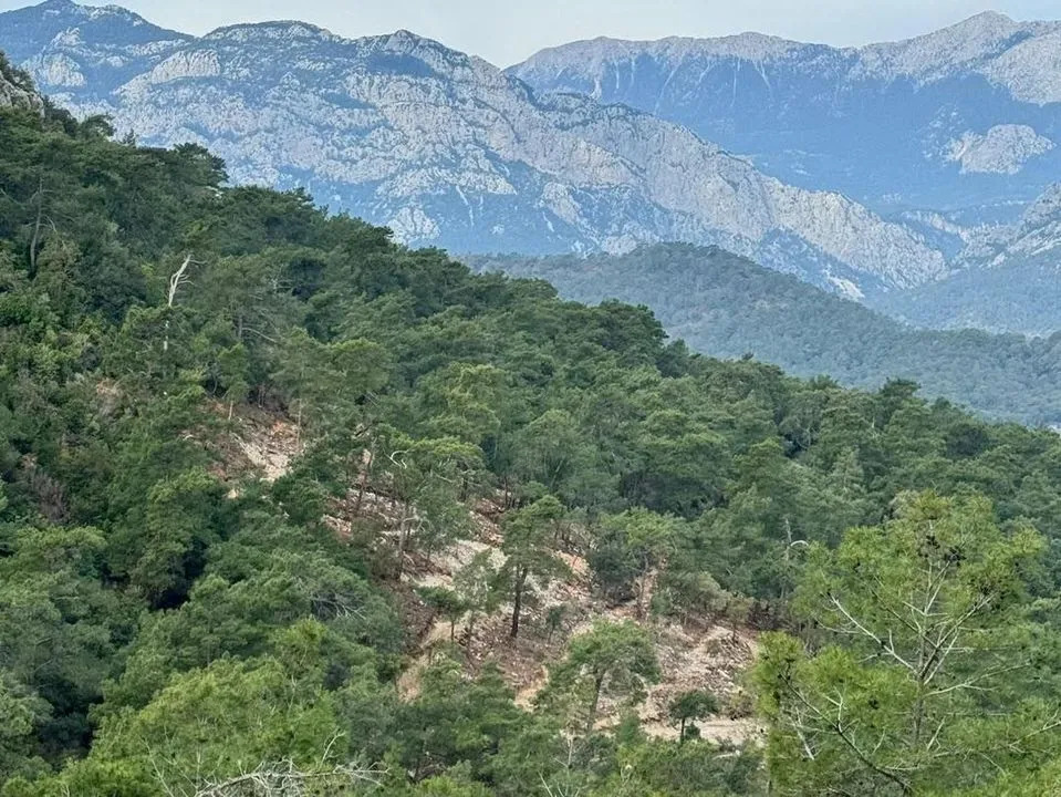 çalış tepe