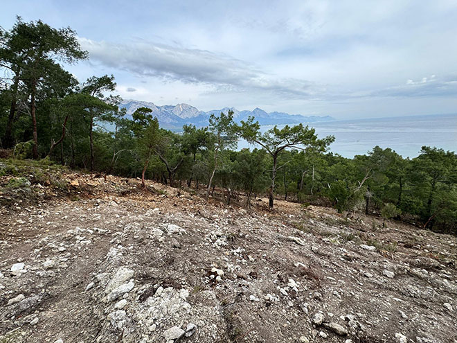 çalışş tepe