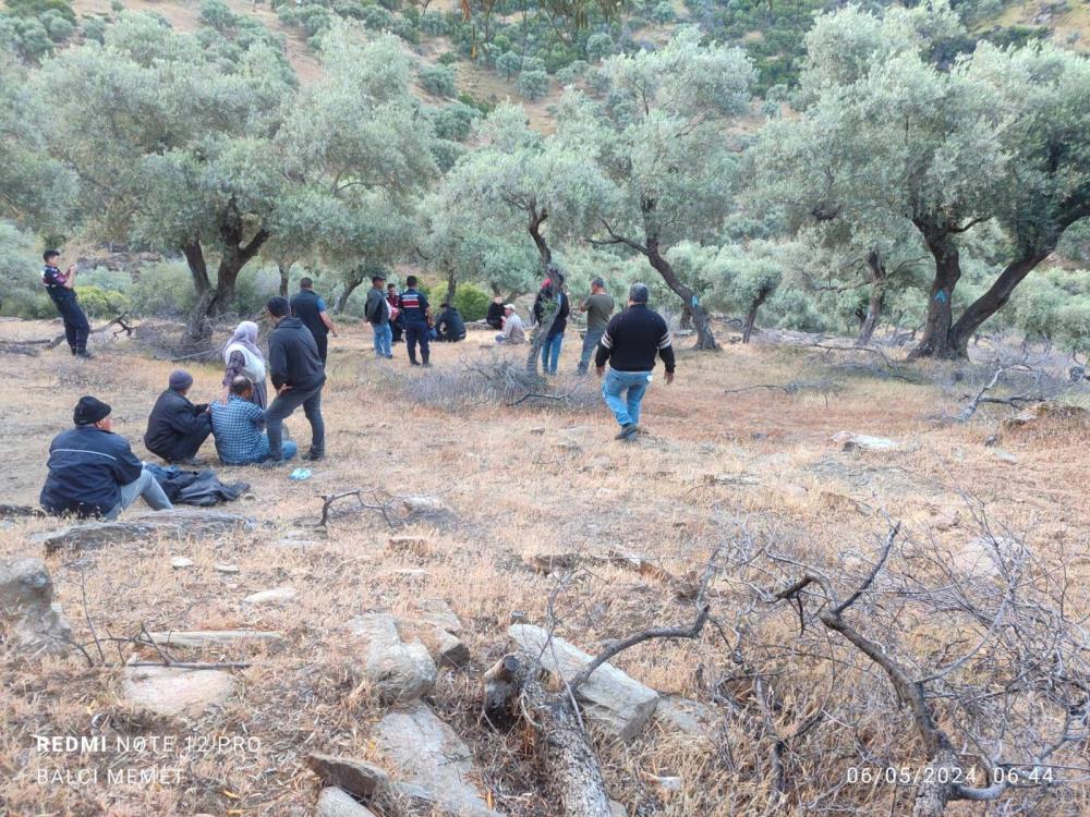 Nazilli'de Kayıp Koyunlarını Arayan Adam Ölü Bulundu2