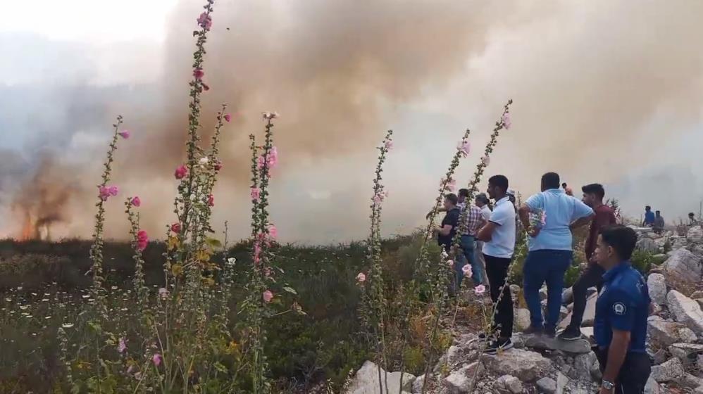 Antalya orman yangını kontrol altına alındı