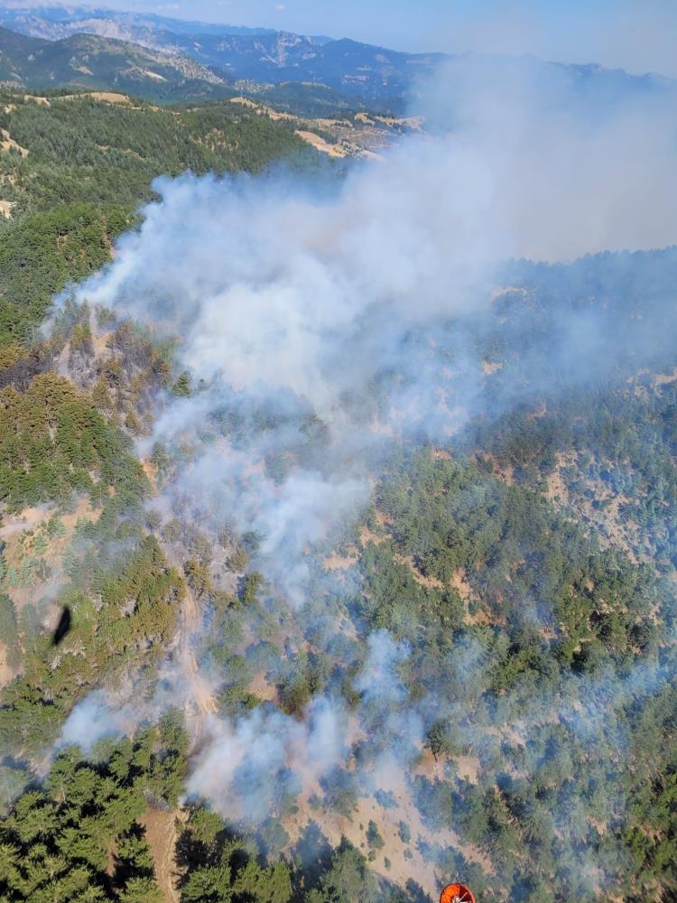 Adana'da orman yangınına ekiplerin müdahalesi sürüyor