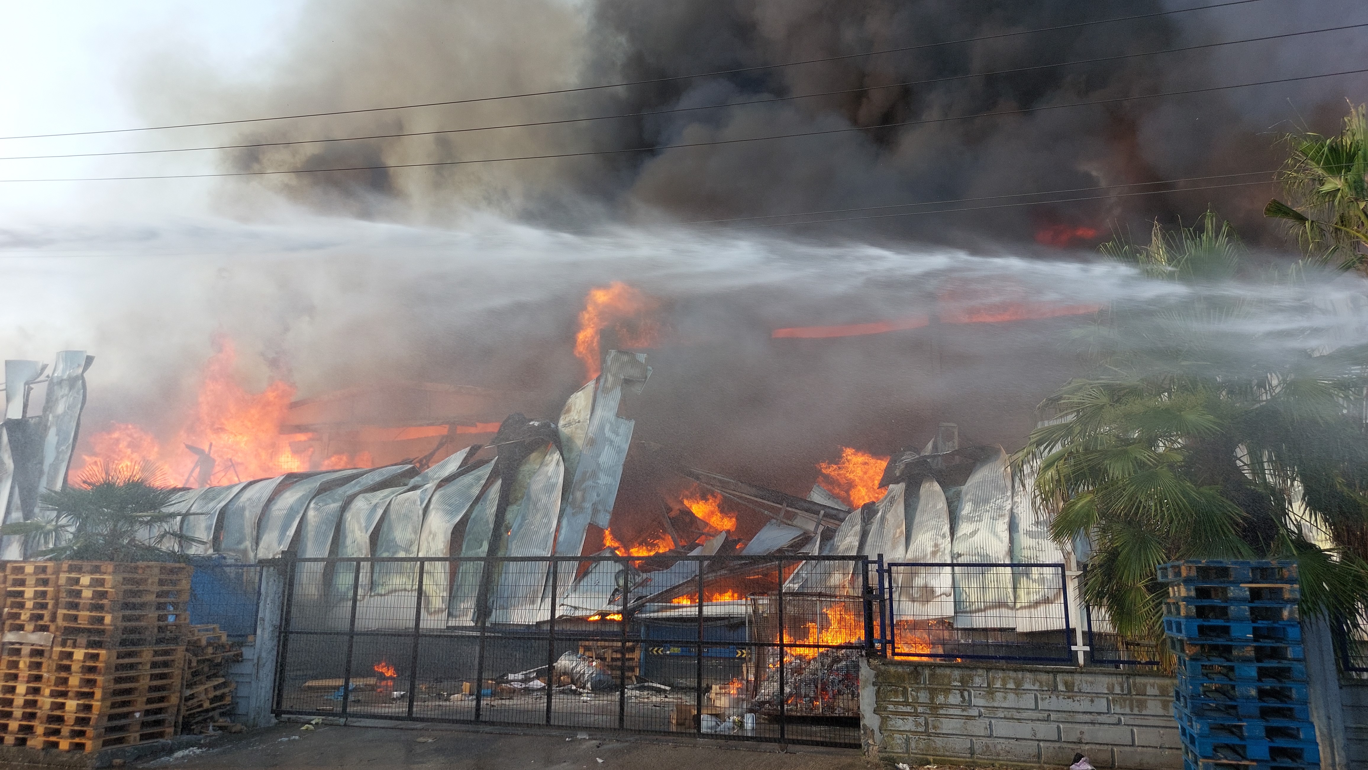 Samsun'da bir fabrika alev alev yanıyor