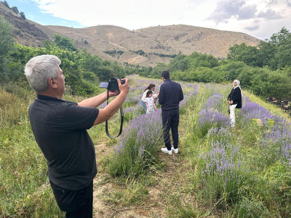 Erzincan'da lavanta bahçeleriyle tarımsal çeşitlilik ve turizm potansiyeli artıyor