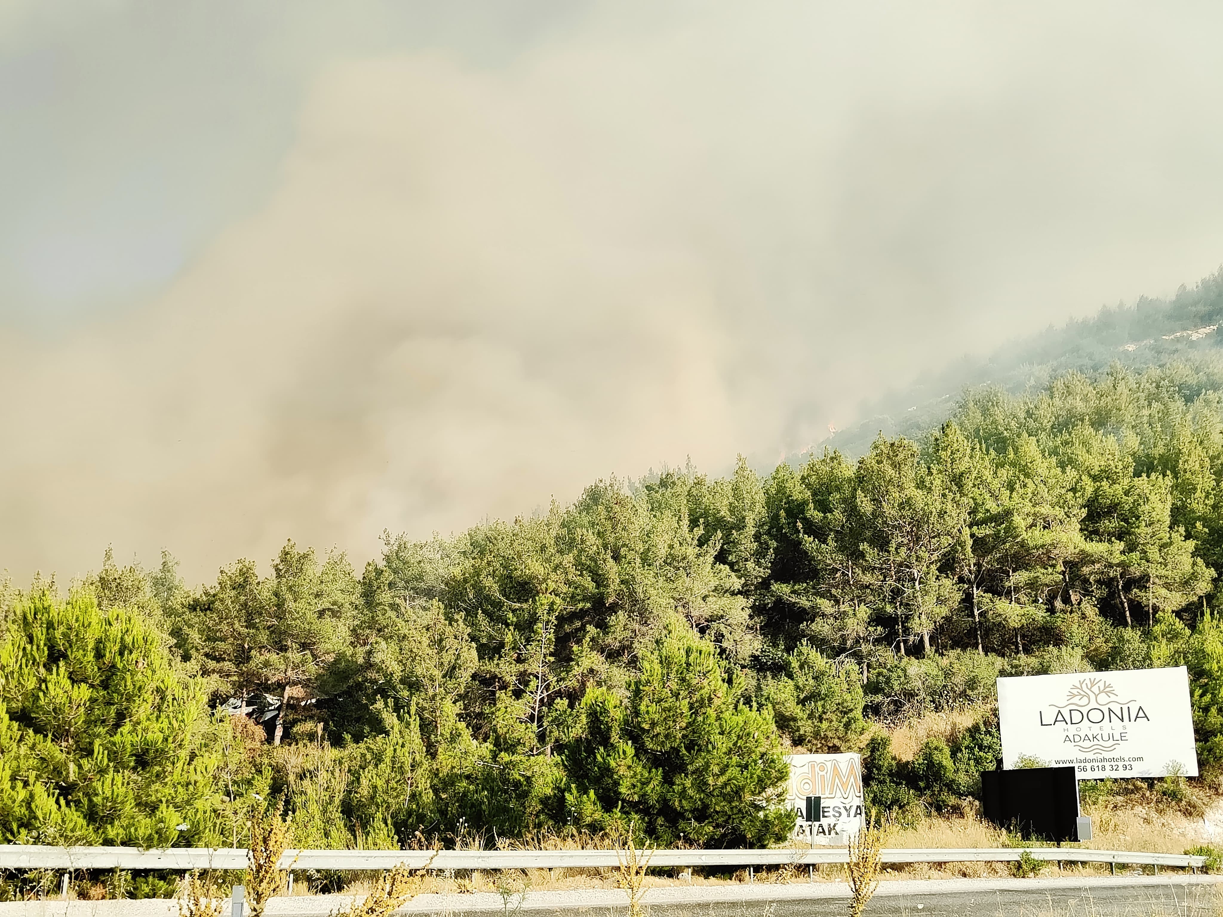 Orman yangını yayıldı! Selçuk-Kuşadası kara yolu trafiğe kapatıldı