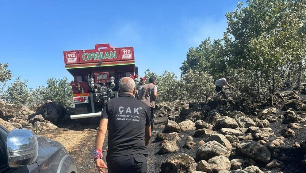 Diyarbakır'da Orman Yangını2