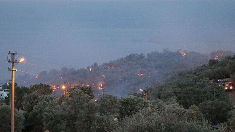 Türkiye'nin ciğerleri yanıyor! Çanakkale, İzmir, Muğla ve Uşak'ta orman yangını