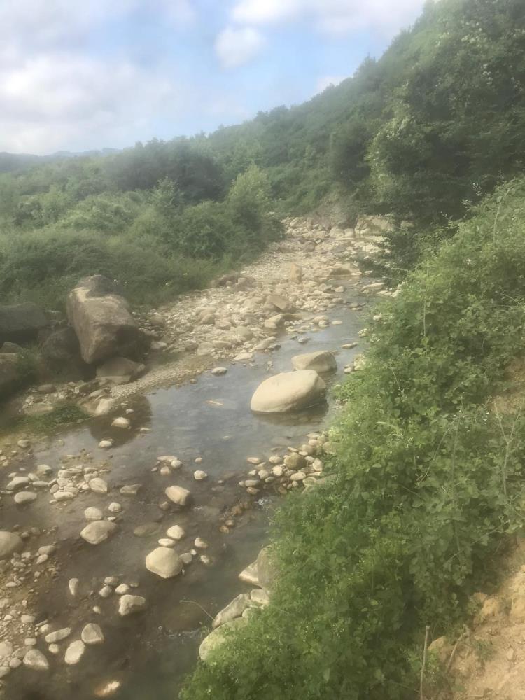 Taşa Sıkıştı, Boğularak Hayatını Kaybetti