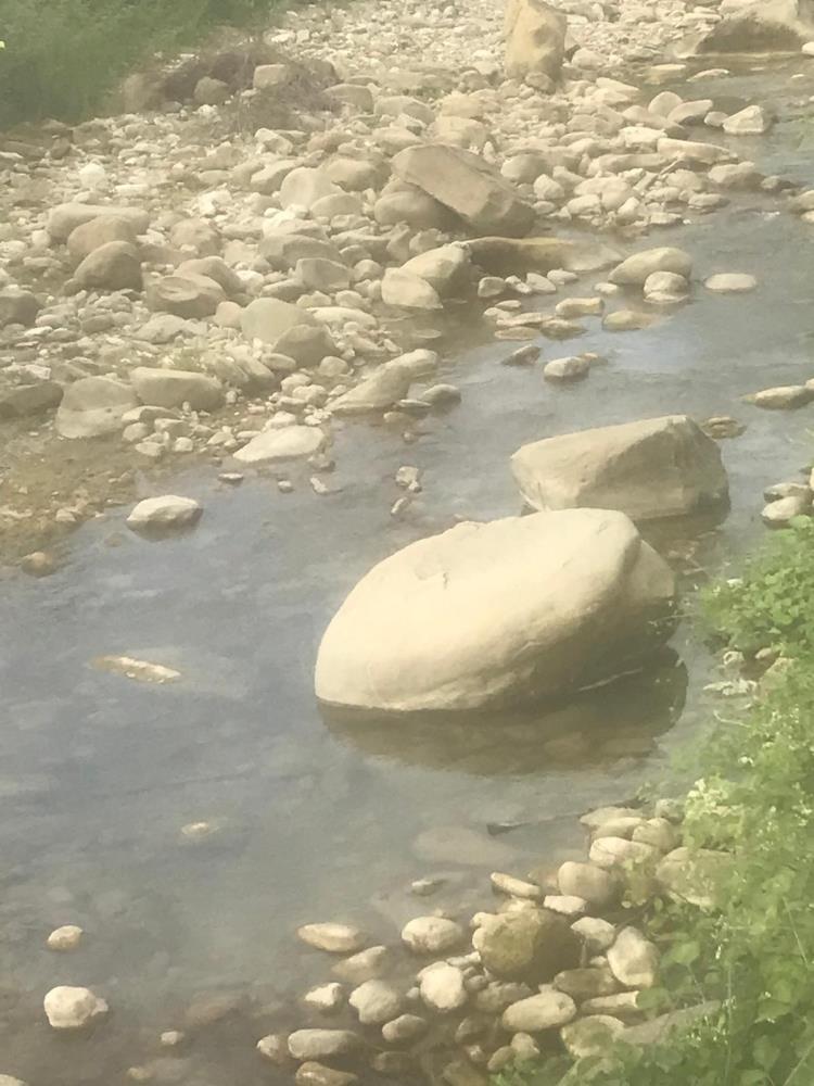 Taşa Sıkıştı, Boğularak Hayatını Kaybetti2