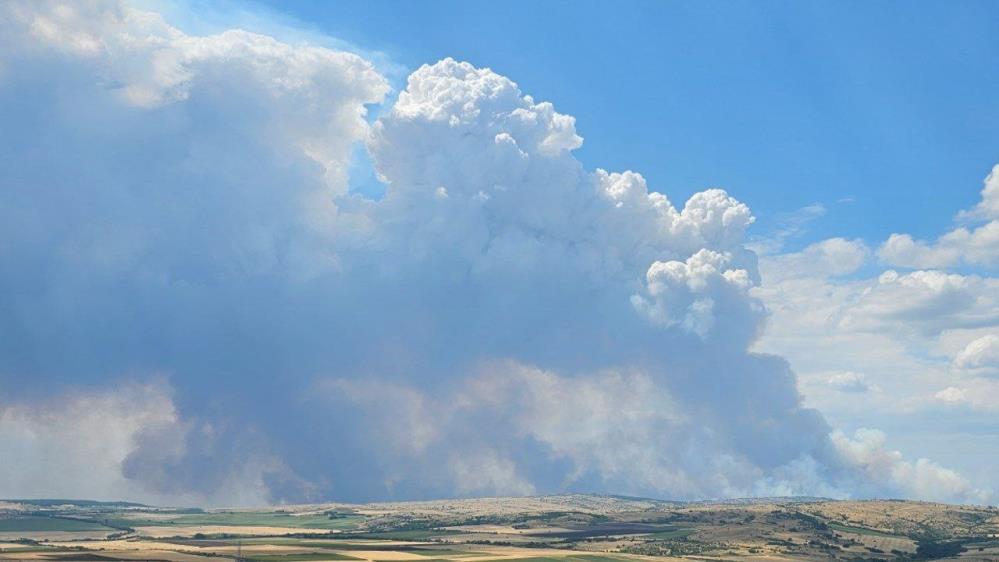 Bulgaristan'daki orman yangını Edirne sınırına dayandı