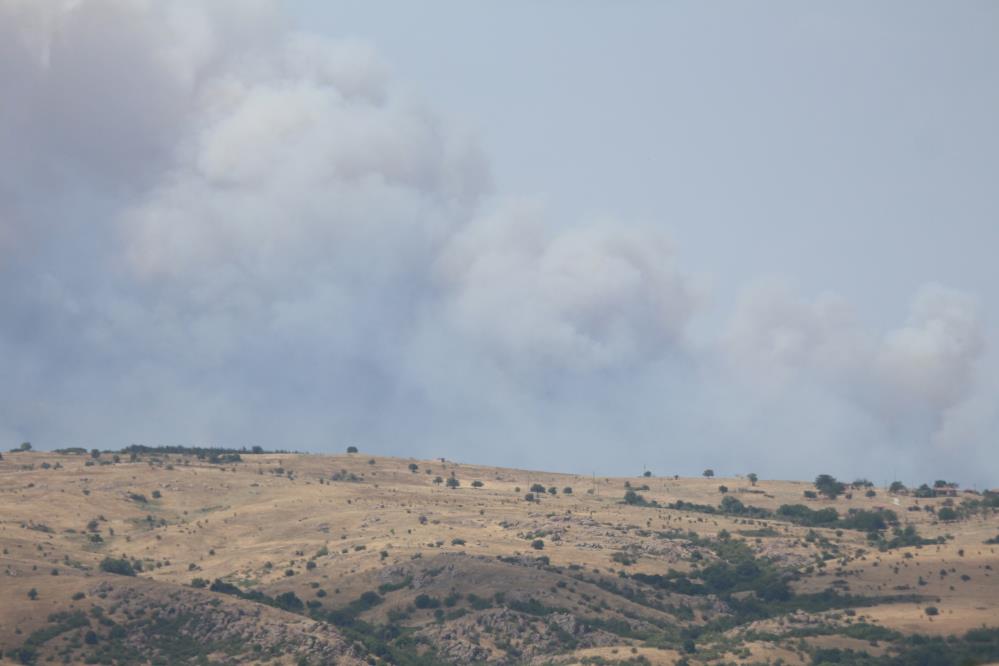 Bulgaristan'daki orman yangını Edirne sınırına dayandı