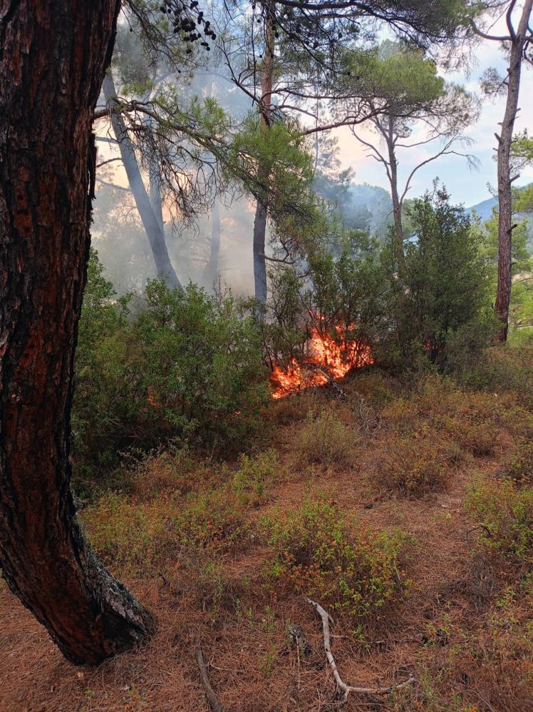 Muğla Alev Alev Yanıyor! Yetkililer Teyakkuzda