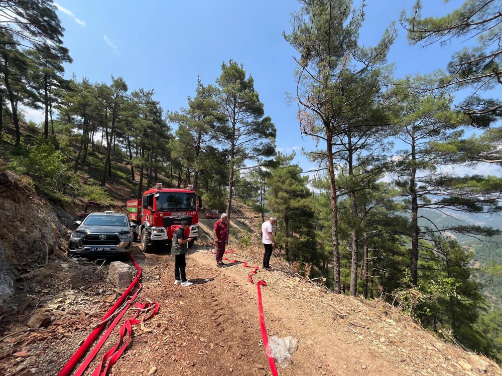 Adana'da ormanlık alanda yangın çıktı